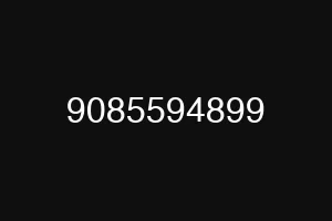 9085594899