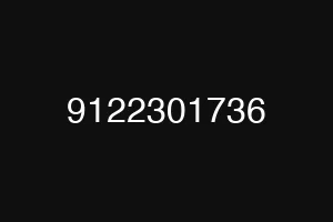 9122301736