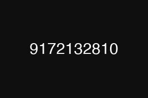 9172132810