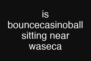 is bouncecasinoball sitting near waseca